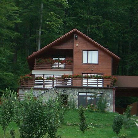 Villa Mara Sinaia Exteriör bild