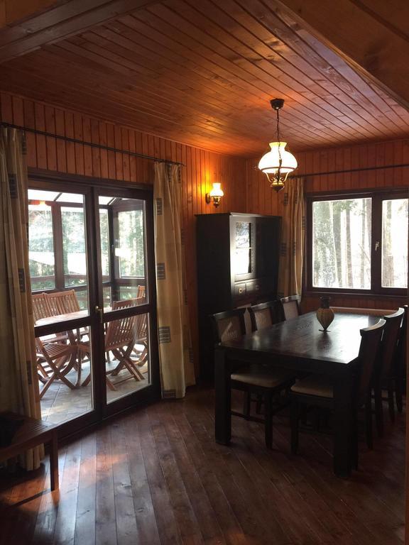 Villa Mara Sinaia Exteriör bild