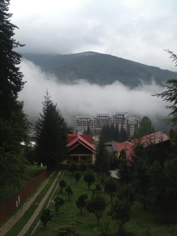Villa Mara Sinaia Exteriör bild