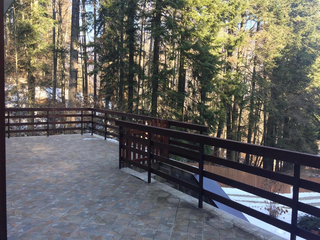Villa Mara Sinaia Exteriör bild