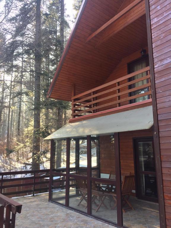 Villa Mara Sinaia Exteriör bild