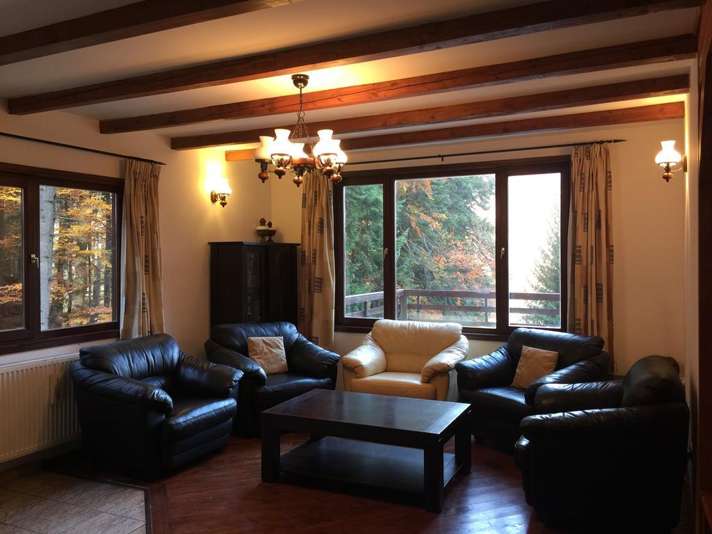 Villa Mara Sinaia Exteriör bild