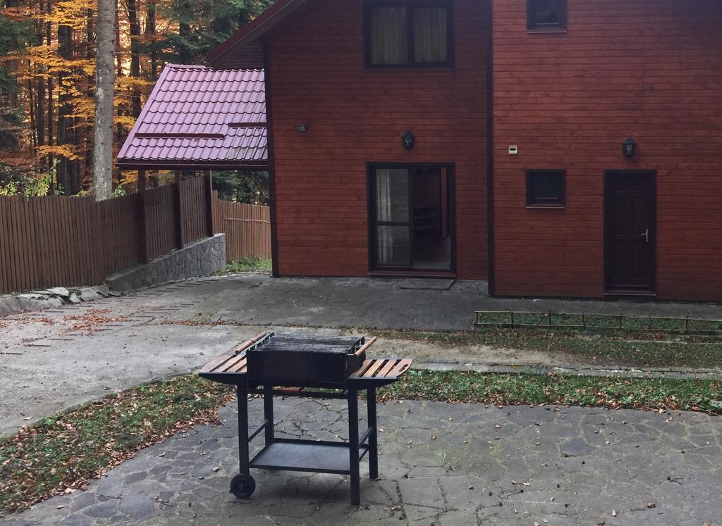Villa Mara Sinaia Exteriör bild